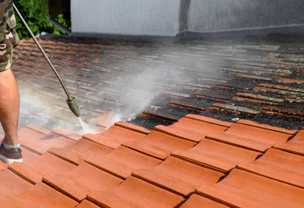 Pressure Washing Services for Businesses in Young Harris, GA