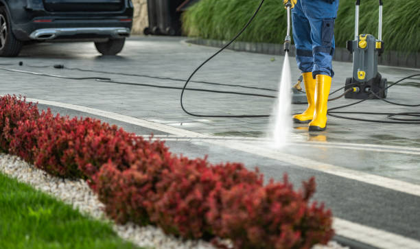Best Exterior Home Cleaning  in Young Harris, GA