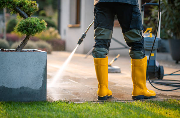 Best Best Pressure Washing Companies  in Young Harris, GA